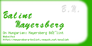 balint mayersberg business card